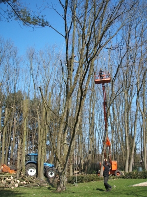 De afbeelding “http://www.bomengeerts.be/webimage/hakselaar_thumb.jpg” kan niet worden weergegeven, omdat hij fouten bevat.