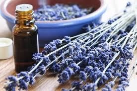 Aromatherapie is een weldaad voor lichaam en geest
