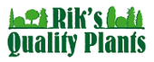 Rik's Quality Plants, Jabbeke